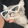🧿Animalitos cute para chat 2 28