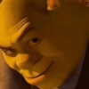 Shrek 💚 5