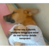 Ya me voy a dormir, mañana tengo que estar de mal humor desde temprano