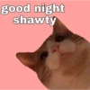 good night shawty