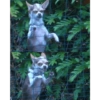 Animalitos 🐖🐱 15