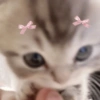 Gatitos melos😜 5