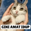 GINI AMAT IDUP