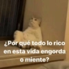 ¿Por qué todo lo rico
en esta vida engorda
o miente?
