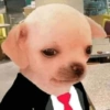 FIGURINHAS NECESSÁRIAS 🤣 13
