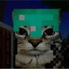 Gatos muy Random🐈‍⬛😹😺 9