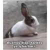 Buenos días, tardes
ya q bárbaro