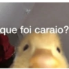 Deboche básico  5