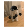 Skin kucing 11