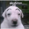 akabron @lilohxzC Del comentario de Tik To