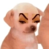 FIGURINHAS NECESSÁRIAS 🤣 14