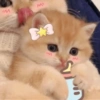 🧿Animalitos cute para chat 2 20