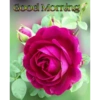 Good Morning WAN