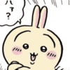 Usagi 13