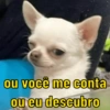 ou você me conta
ou eu descubro