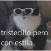 O
tristecillo pero
con estilo
LE
