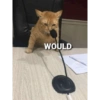 WOULD