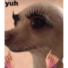 yuh