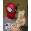Homem aranha 16