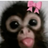 Bichinhos Fofos Cute 💕 13