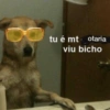 tu é mt otaria viu bicho