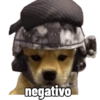 Perritos tácticos 🔥 15