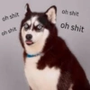 oh shit
oh shit
oh shit
oh shit