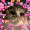Amor em flor