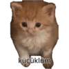 Pikaçu sarıgöt 11