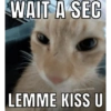 WAIT A SEC @meowycattos LEMME KISS U
