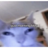 gud morning bbg