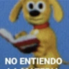 NO ENTIENDO