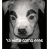 Ya viste como eres