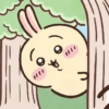 Usagi  11