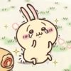 Usagi  22