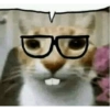Waos :o 3
