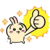 Usagi  27
