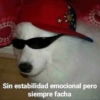 Sin estabilidad emocional pero siempre facha