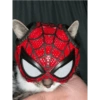 Homem aranha 25