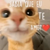 Figurinhas apaixonadas 😍 11