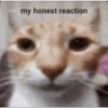 My honest reaction:  14