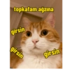 Pikaçu sarıgöt 8