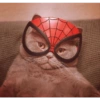 Homem aranha 13