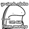 Y mis flores amarillas? 🌻🌼 3