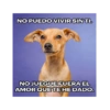 #NuAmor 15
