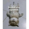 Yaudah aku ngambek