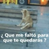 ¿Que me faltó para
que te quedarás?