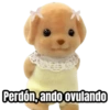 Perdón,ando ovulando
