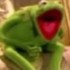 Ranita RENÉ! 🐸 16