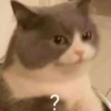 ?